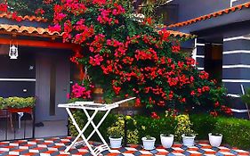 Villa Heljos Apartaments